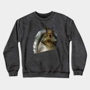 Big Animals Squirrel Abstract Crewneck Sweatshirt